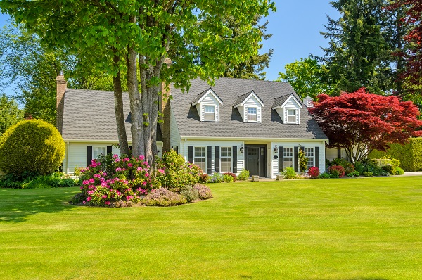 House with large front yard