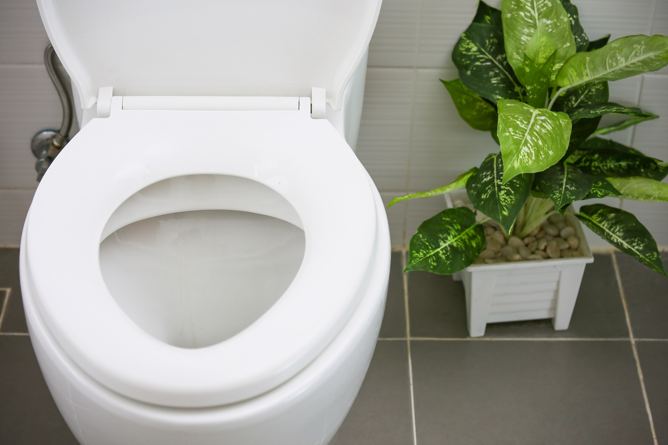 Toilet in modern bathroom